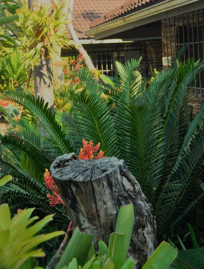 Buya Futhi Bed & Breakfast Saint Lucia Estuary Esterno foto